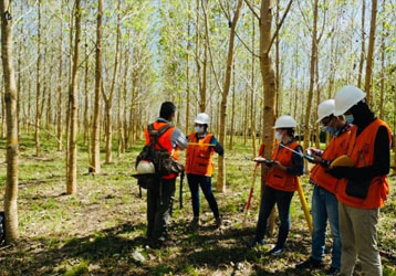 INJIE Optics Laser Rangefinders for Reforestation and Sustainable Forest Management