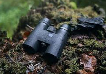 10×42 Binoculars: Complete Guide for Hunting, Bird Watching and Long-Distance Observation