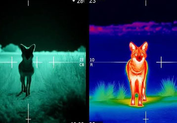 How Does a Thermal Scope Work? A Complete Guide to Infrared Imaging Technology