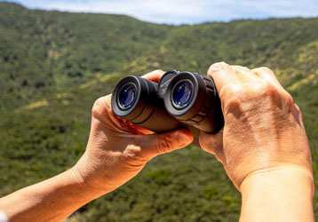 How to Choose the Best HD Binoculars for Bird Watching